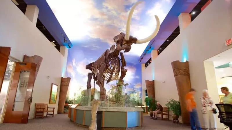 South-Florida-Museum-65590-1New