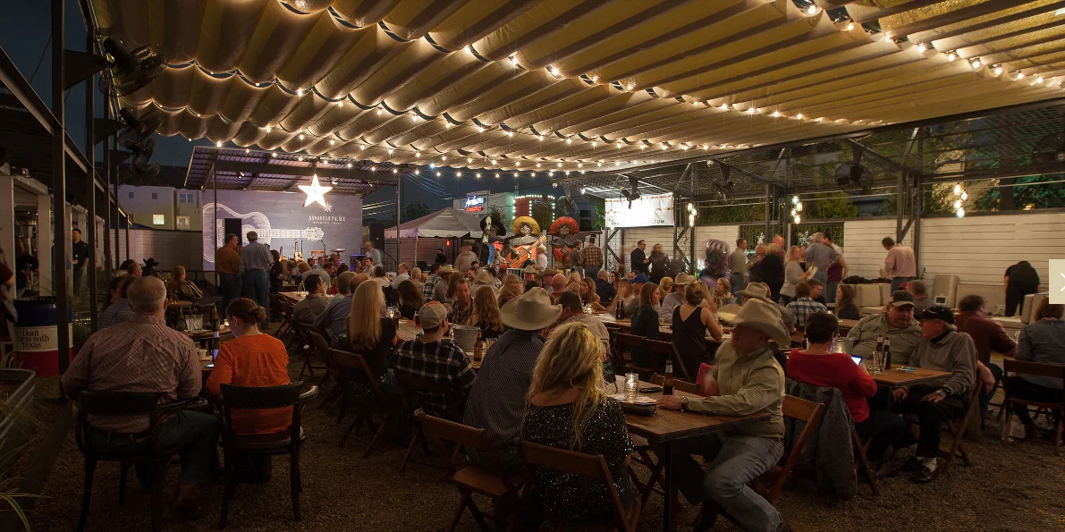 Goode Company Armadillo Palace