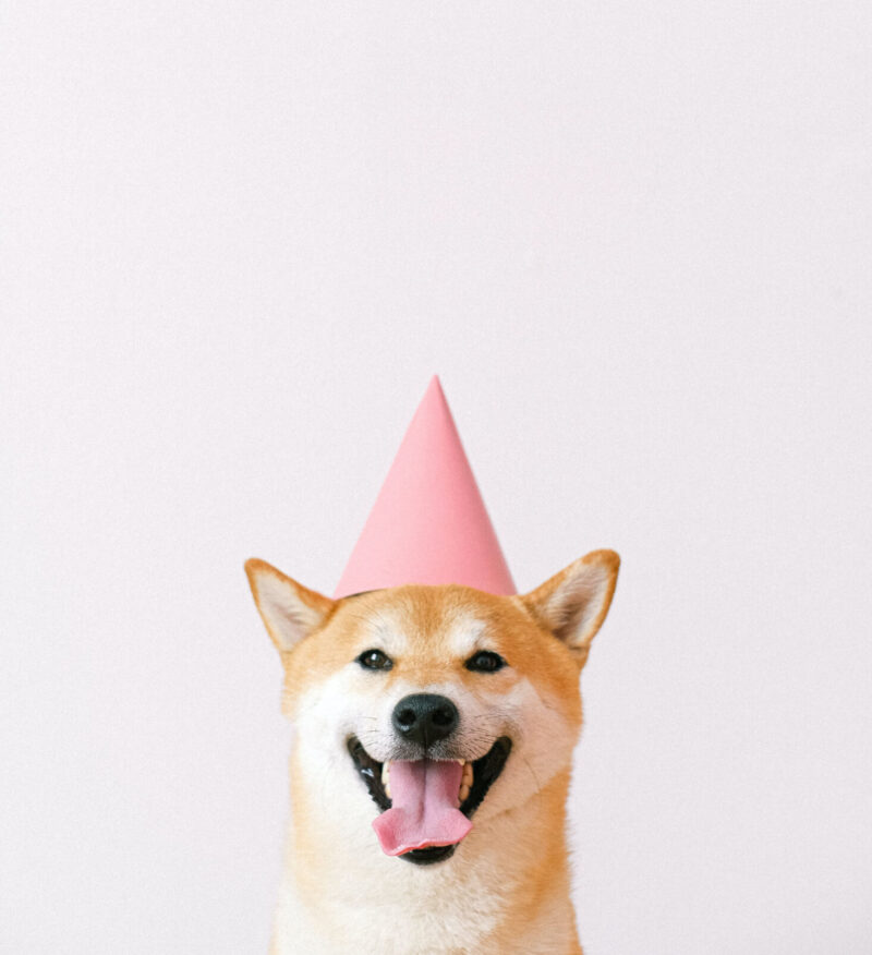 imresizer-1703684077109