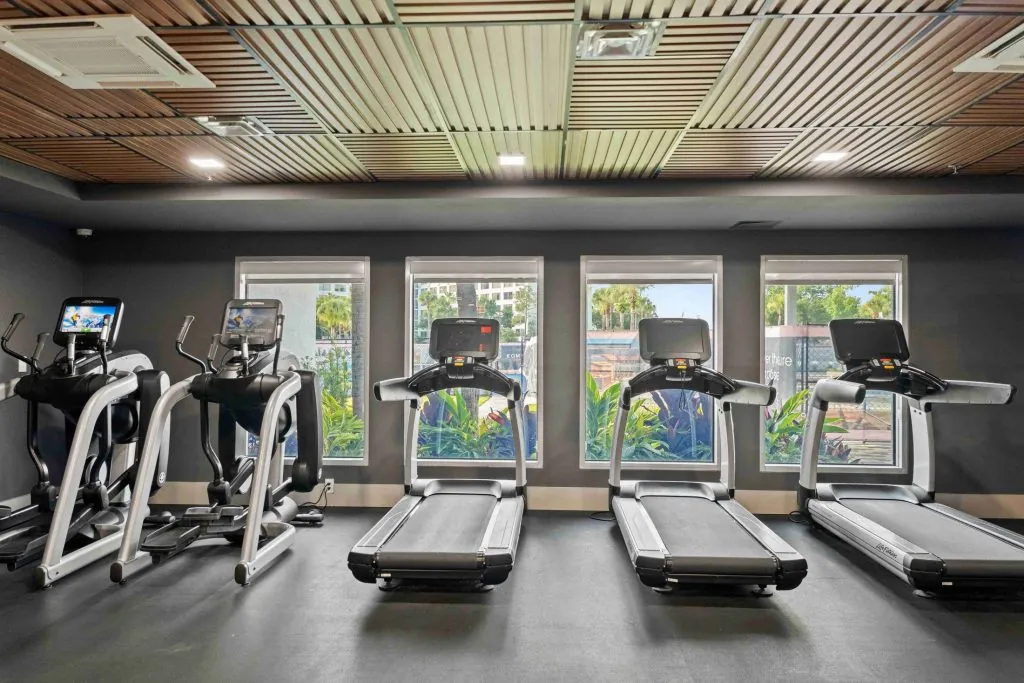 sport