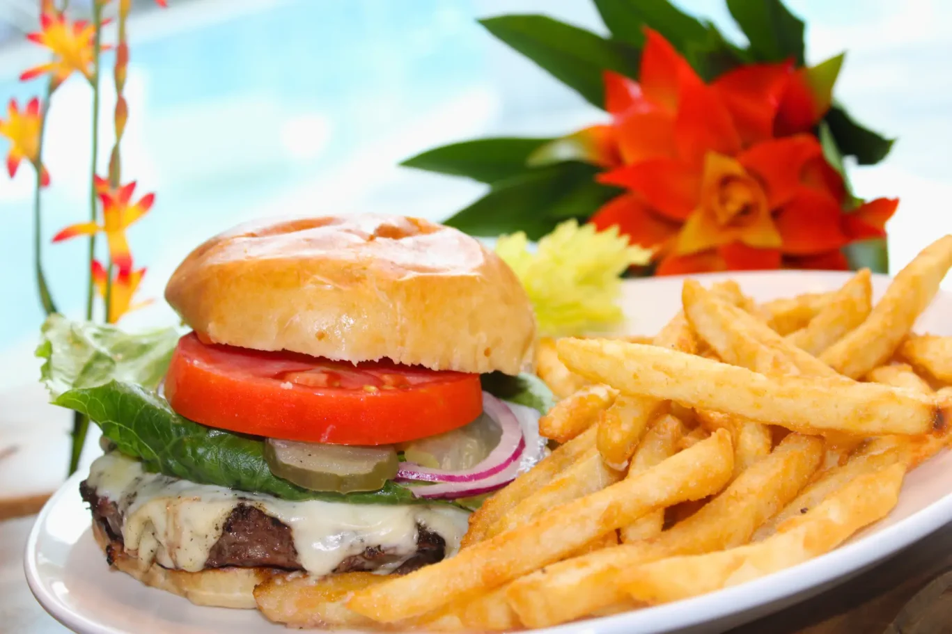 Cheeseburger and Fries
